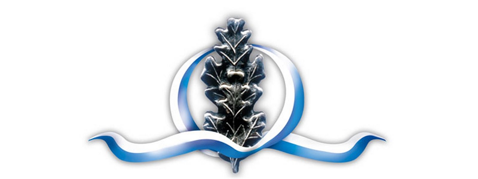 Veteraanipäivän tapahtuma